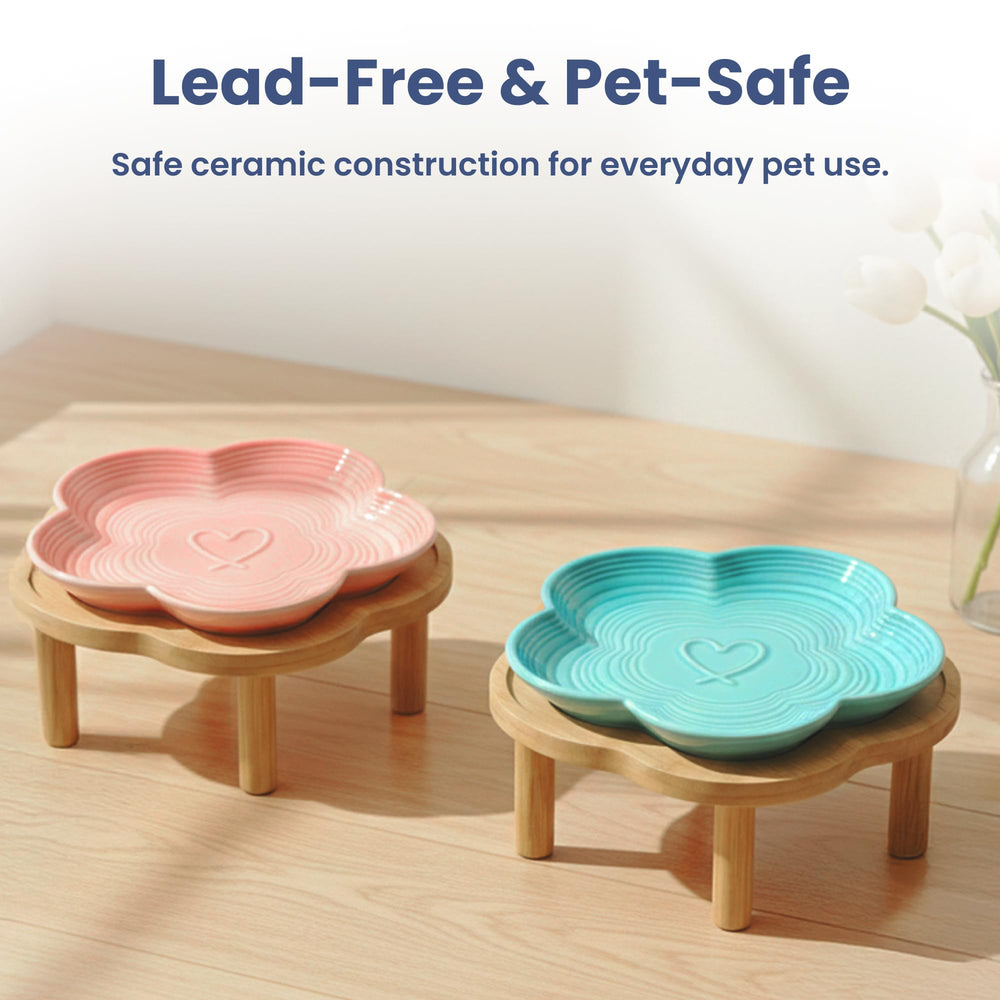 PawsPik ensemble décor cuisine intégrant bol élévé et style moderne