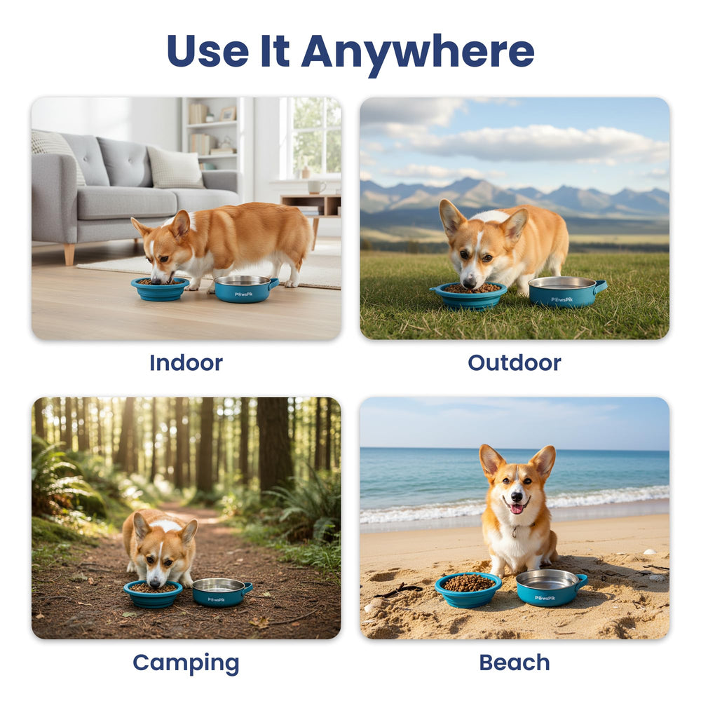 PawsPik gamelle dans sac de voyage illustrant rangement pratique en déplacement