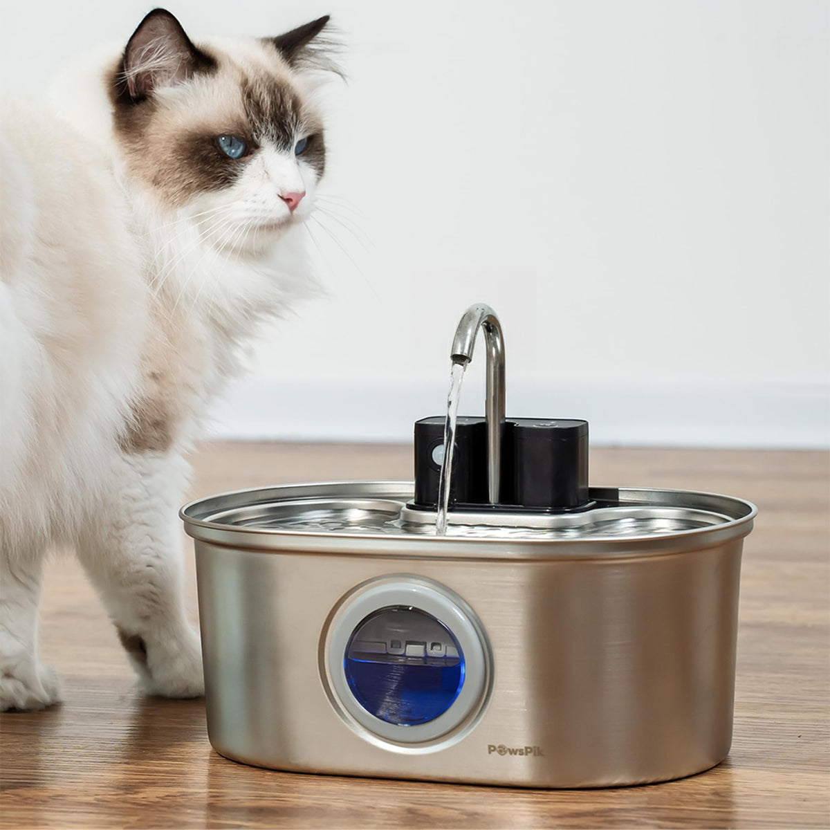 PawsPik fontaine face avant en acier inoxydable, design hygiénique et esthétique