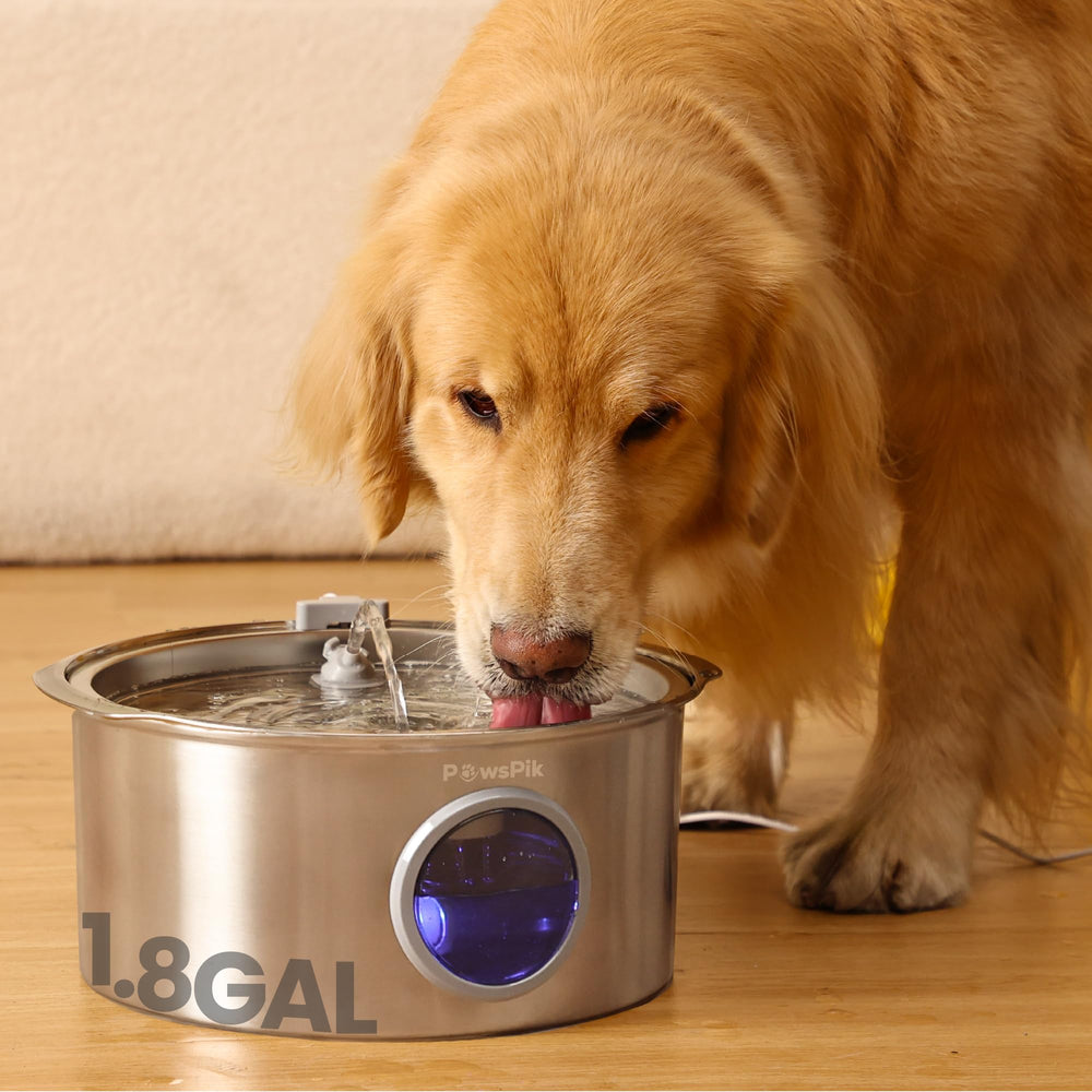 PAWSPIK vue avant affichant capacité généreuse et hygiène améliorée