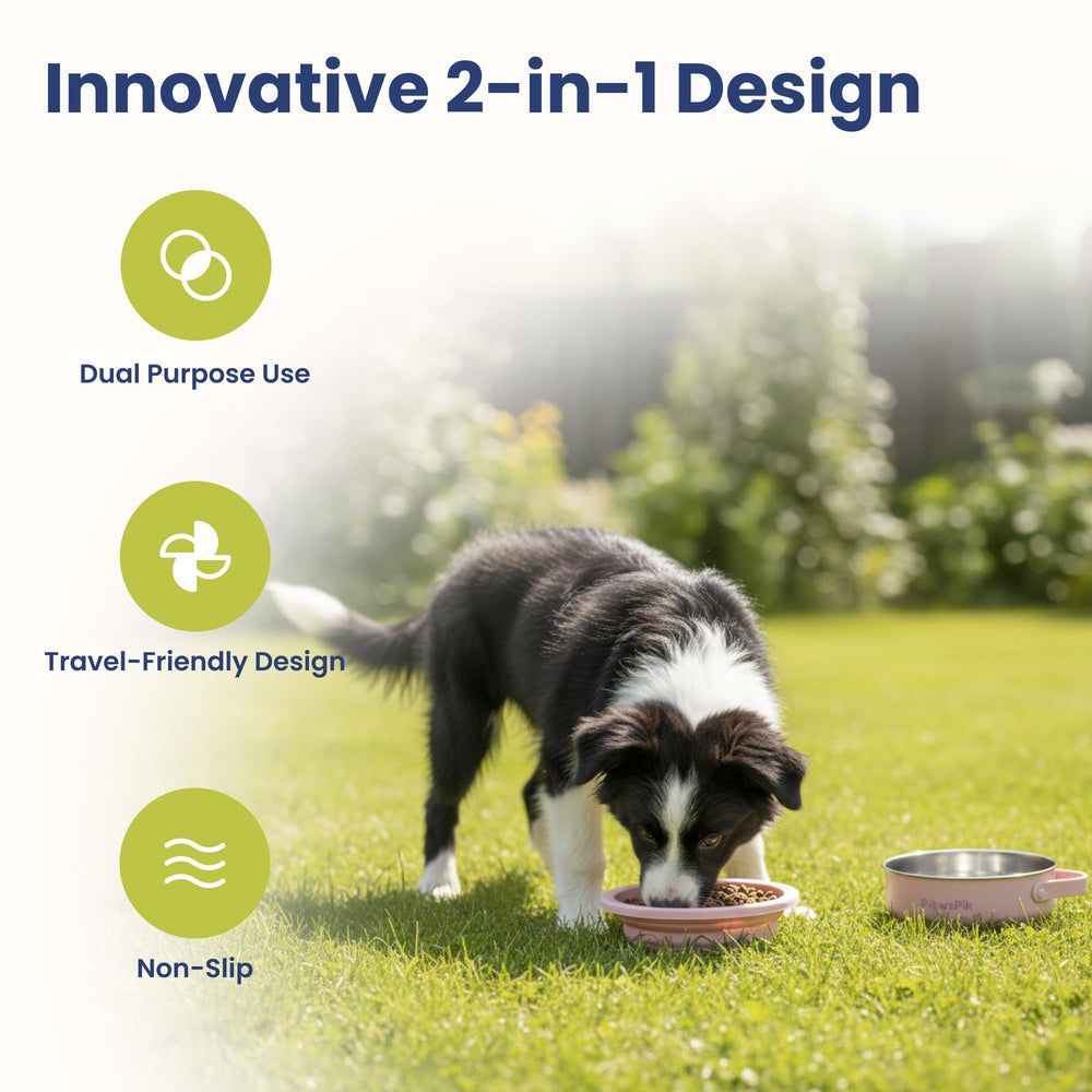 PawsPik détail acier inoxydable et silicone pour durabilité