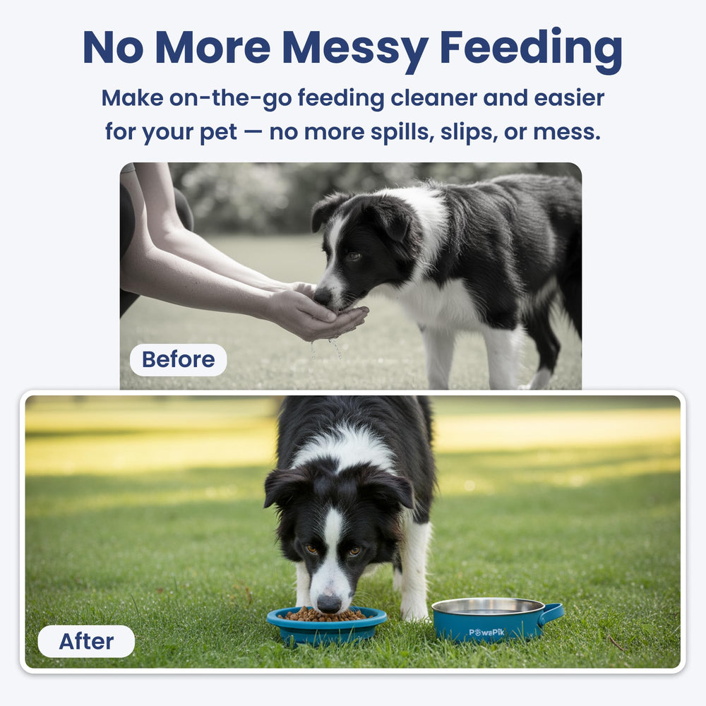 PawsPik gamelle utilisée au parc hydratation rapide pour chien ou chat