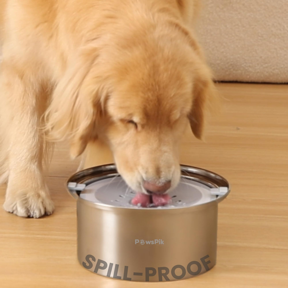 PawsPik gamelle face avant montrant stabilité et capacité