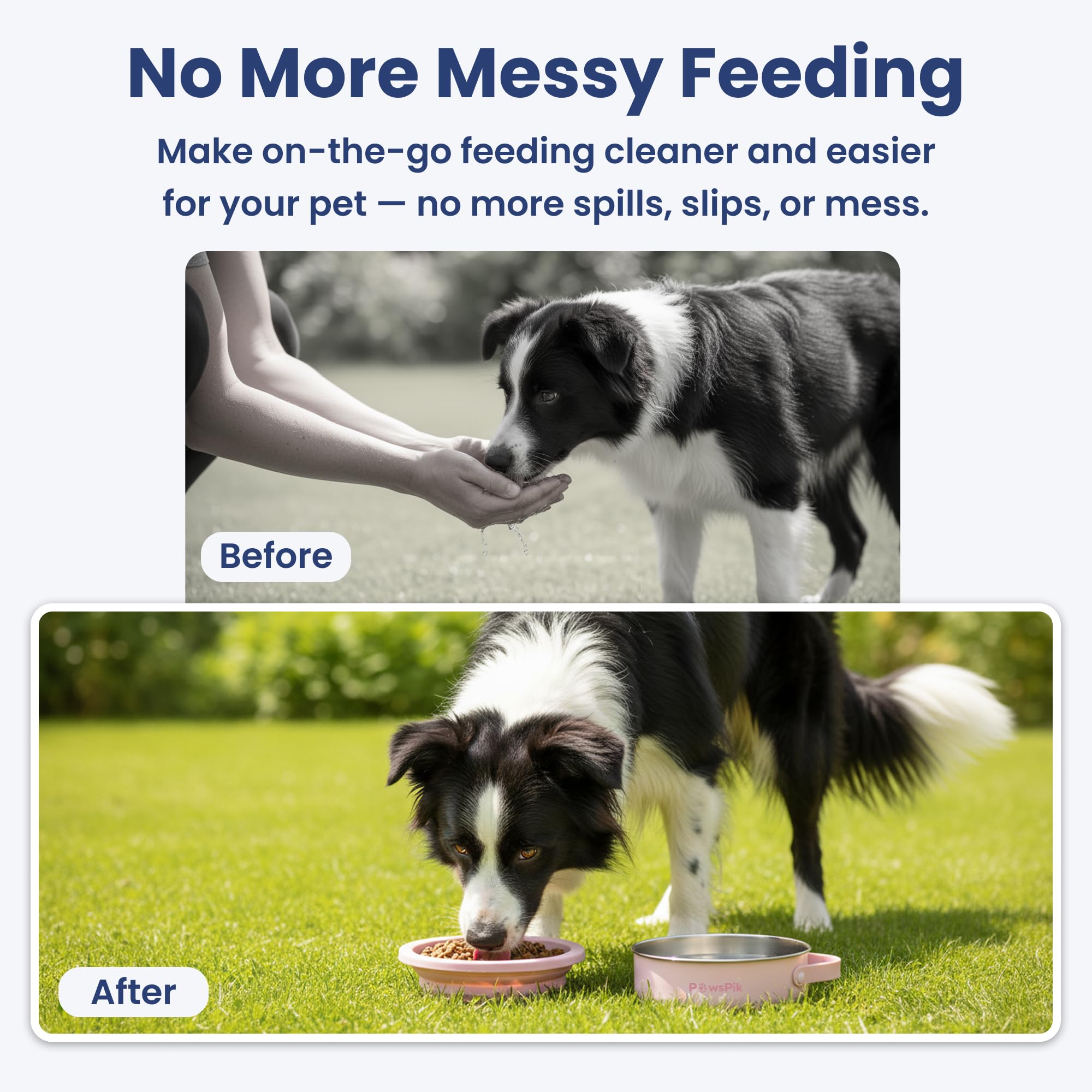 PawsPik gamelle pleine tenue en main pour servir rapidement