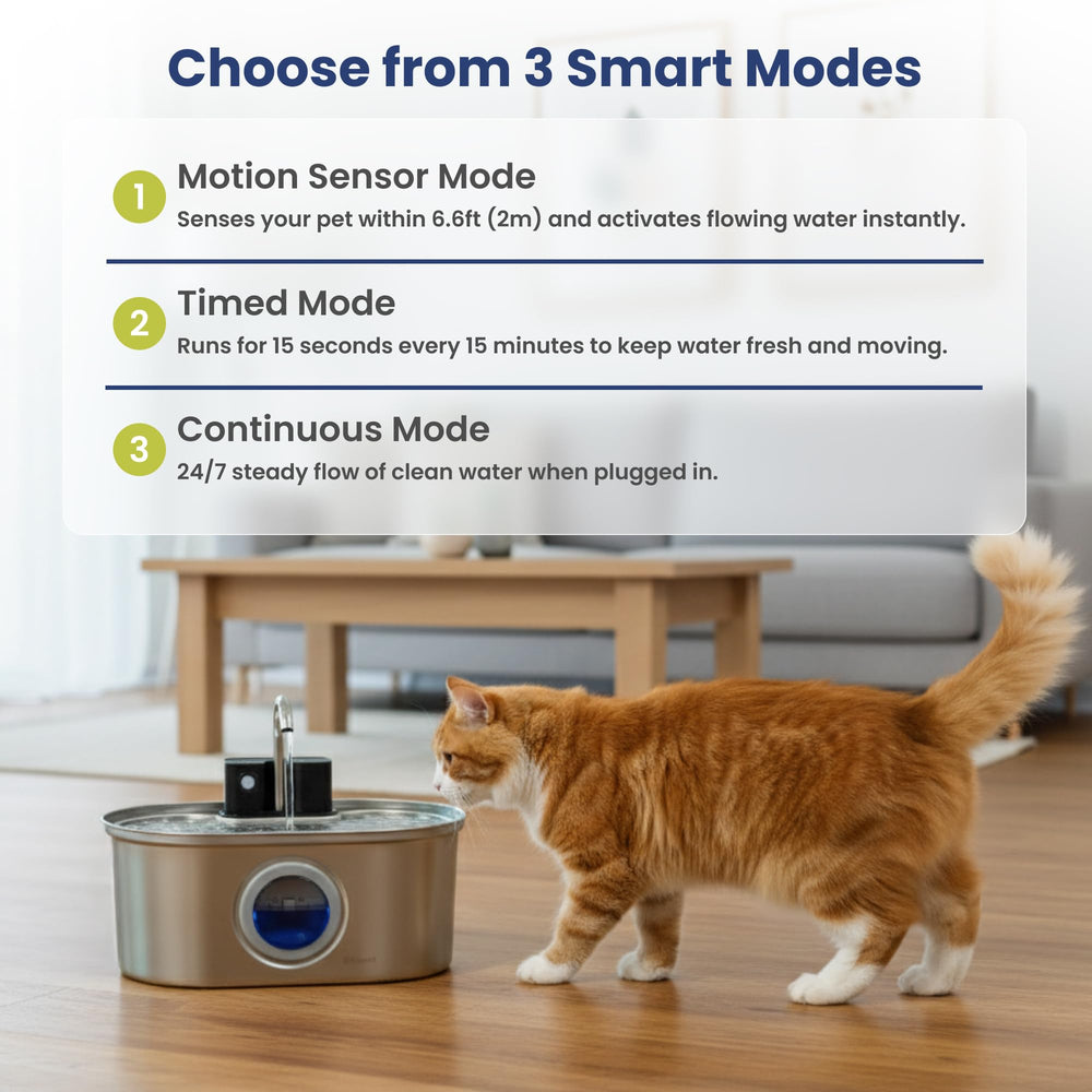 PawsPik gros plan sur le filtre cartouche, capture de débris pour eau plus propre