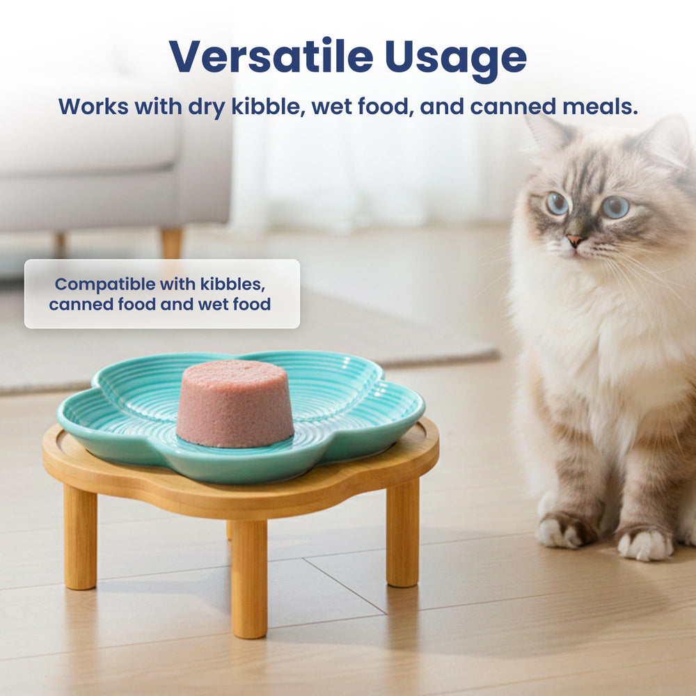 PawsPik gros plan texture céramique facile à nettoyer et résistante