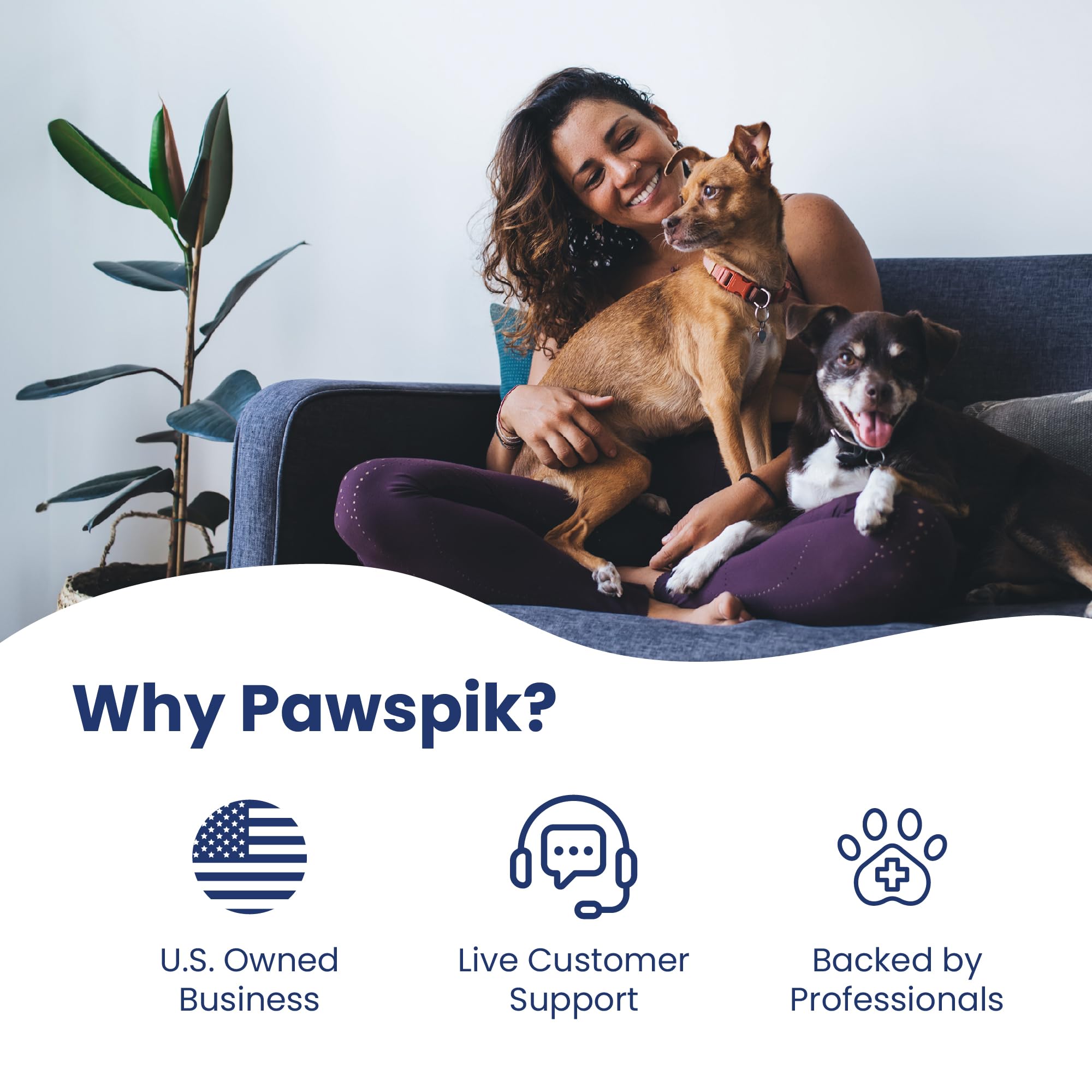 PawsPik scène de vie chien et chat après balade pour confort