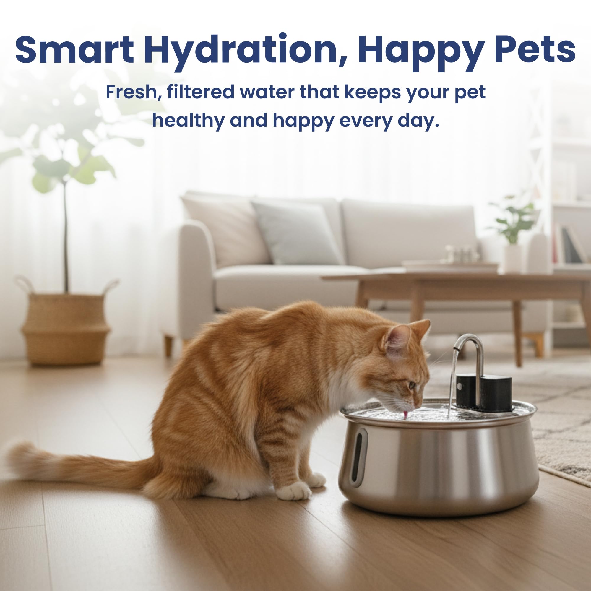 PawsPik dans salon scène de vie favorise hydratation naturelle