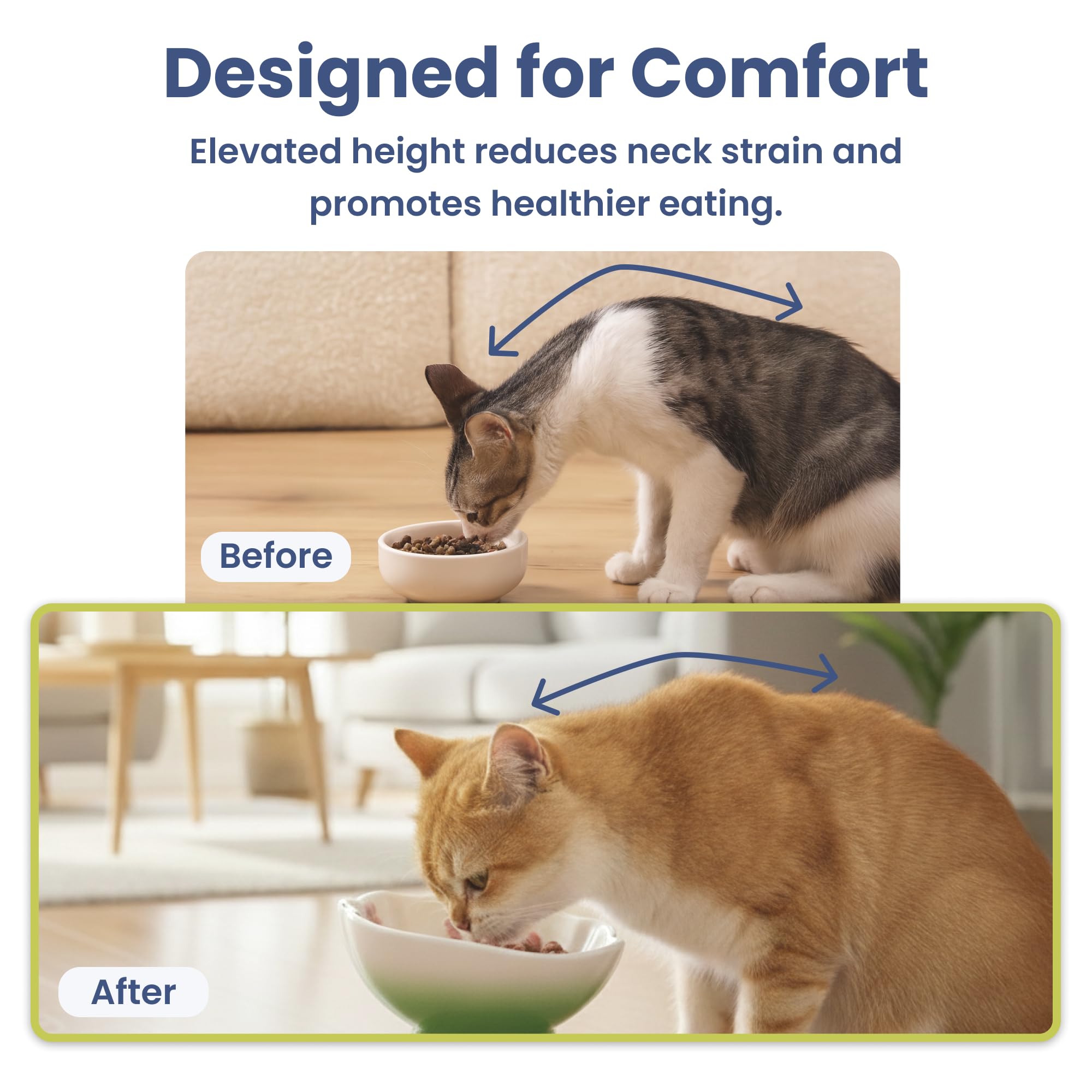 PawsPik comparaison taille avec main, dimension adaptée au chat