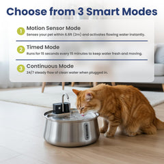 PawsPik vasque acier gros plan hygiène et nettoyage facile