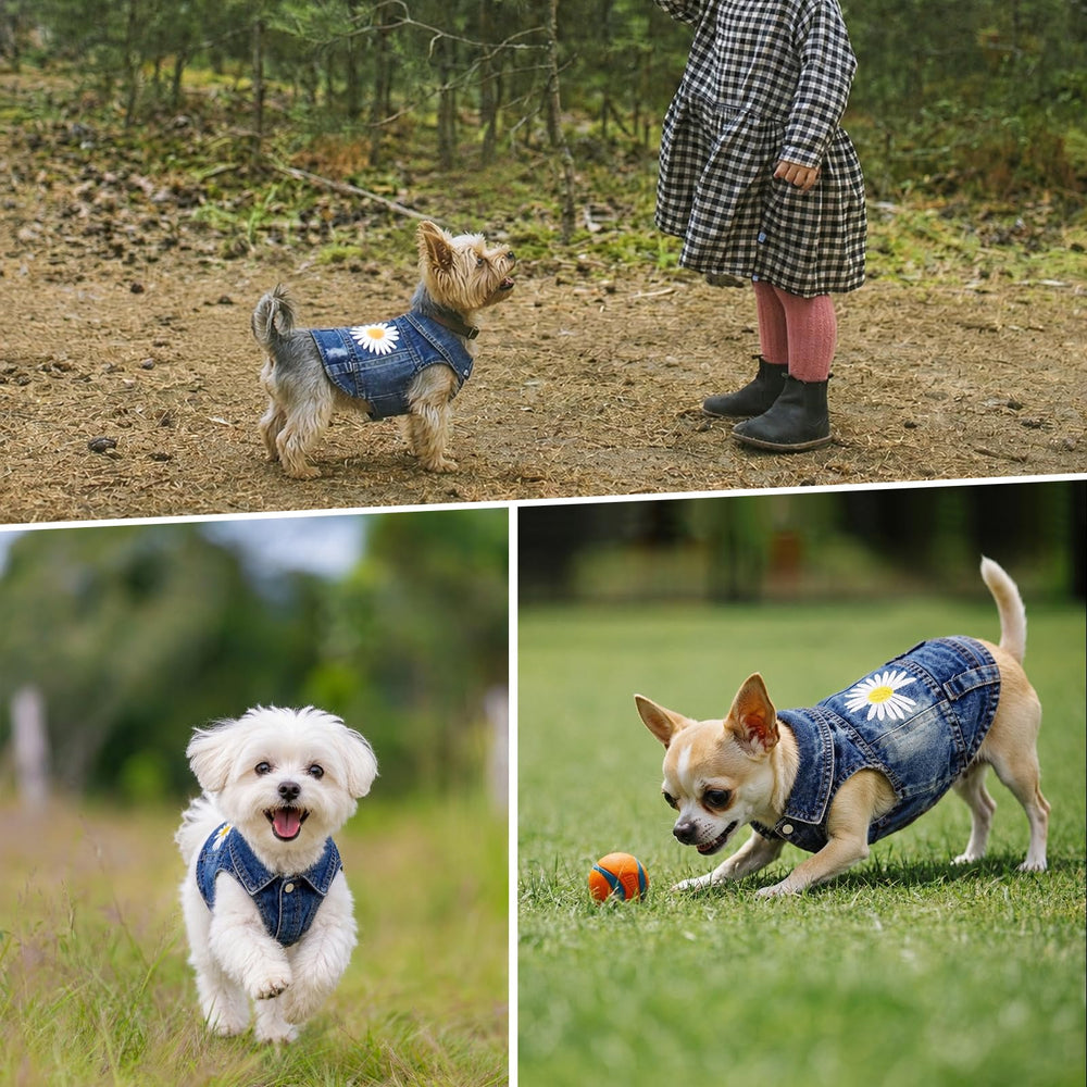 pawstrip veste en jean pli et repassage montre facilité d’entretien