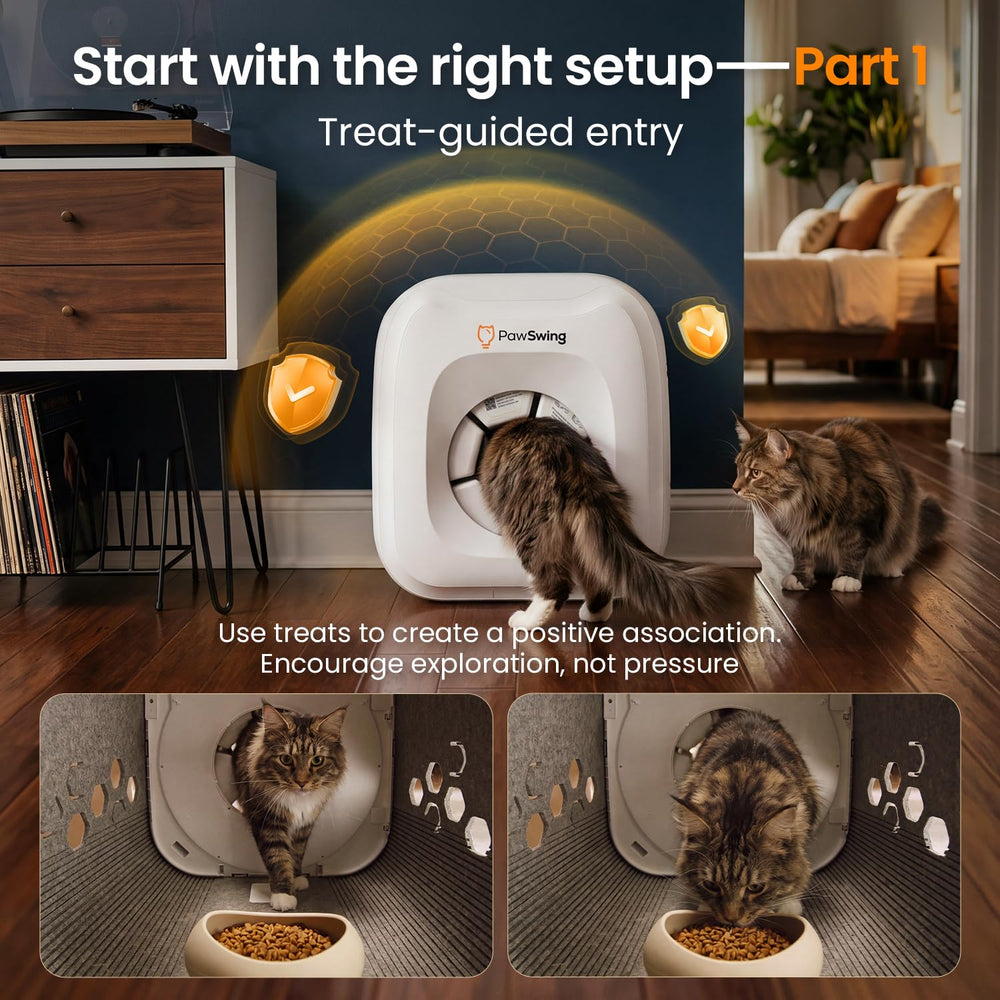 PawSwing Neo Plus avec grand chat Maine Coon pour démontrer la taille