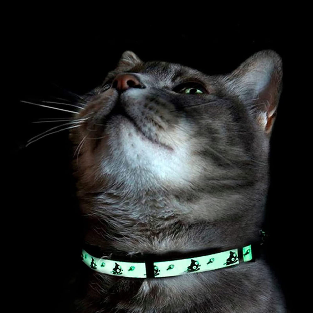 Pawtitas comparaison taille avec règle pour évaluer l'ajustement exact du collier