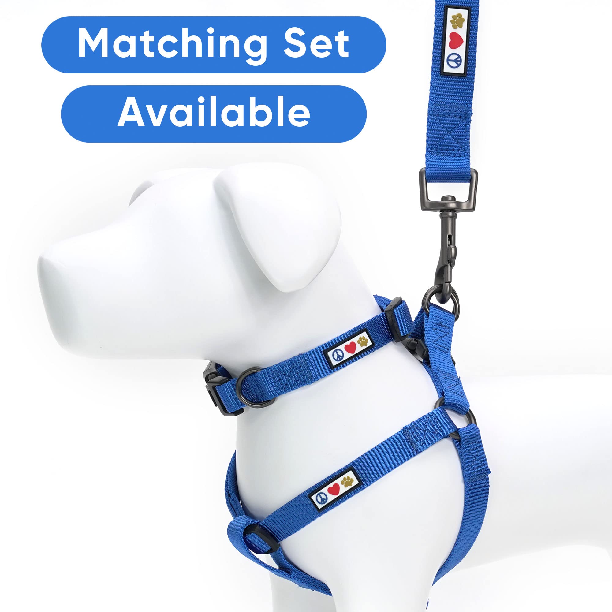 Pawtitas comparaison d'échelle montrant proportions et guide de taille