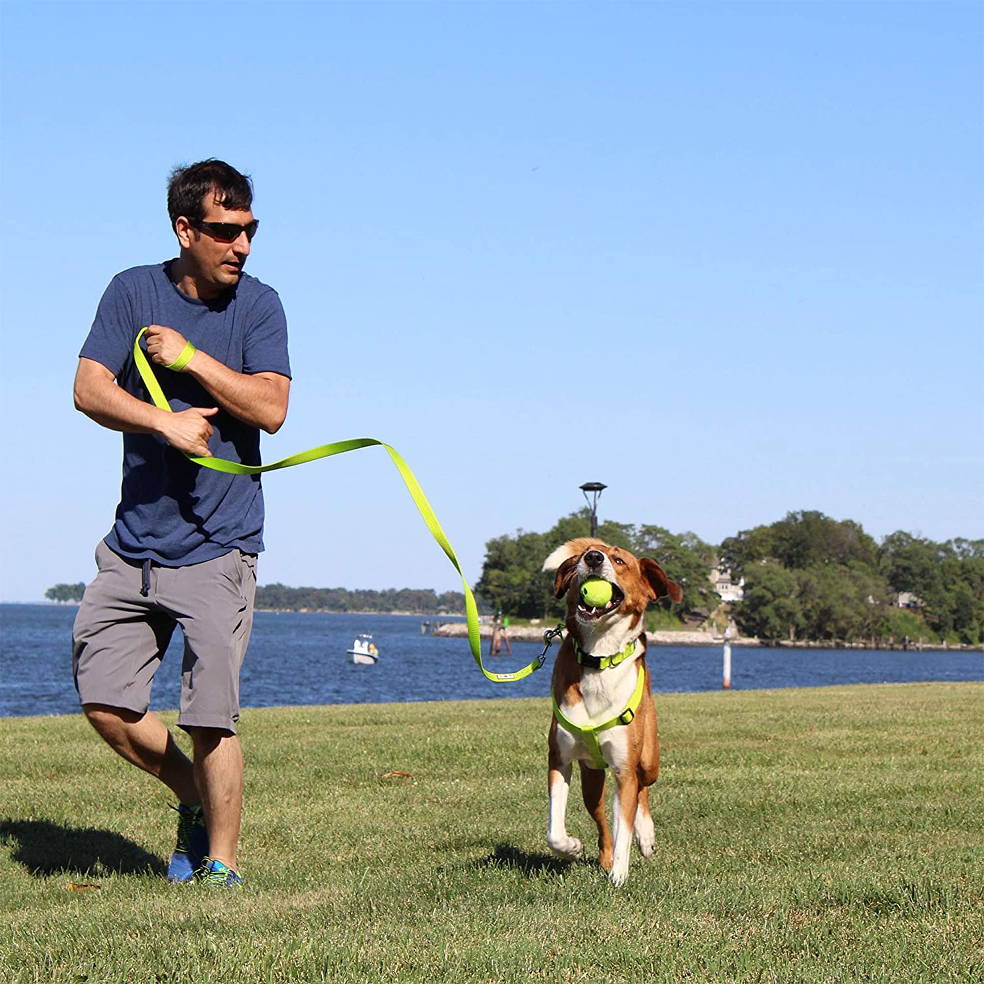 Pawtitas harnais présenté avec une laisse pour une solution promenade complète