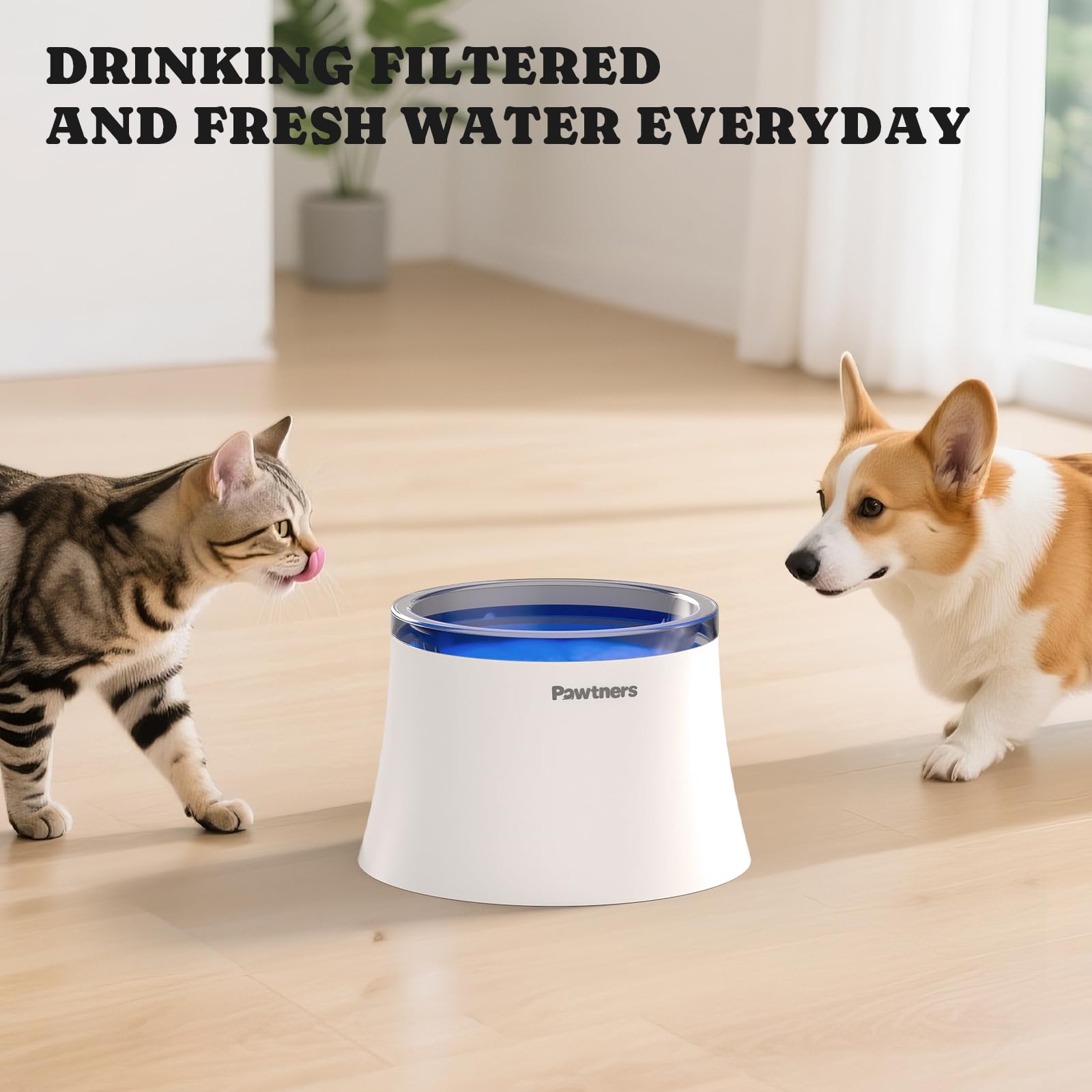 Coupe du filtre Pawtners révélant couches coton, non-tissé et charbon, optimise filtration multi-étages