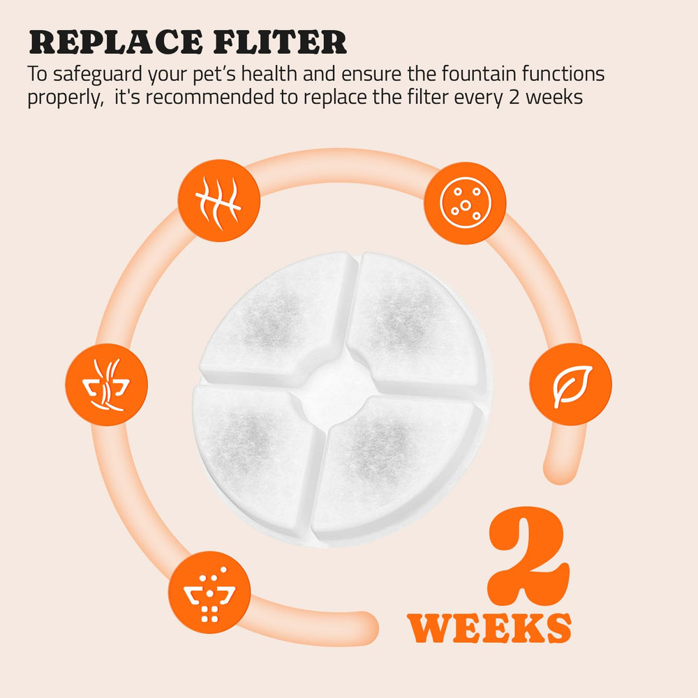 Comparaison de taille Pawtners filtre à côté d'une main pour évaluer dimensions pratiques