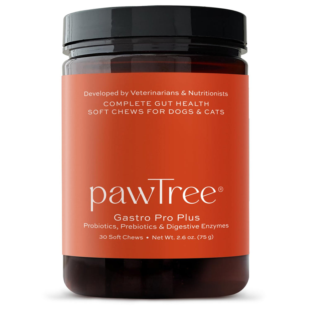 pawTree emballage avant visible offrant un complément digestif pratique
