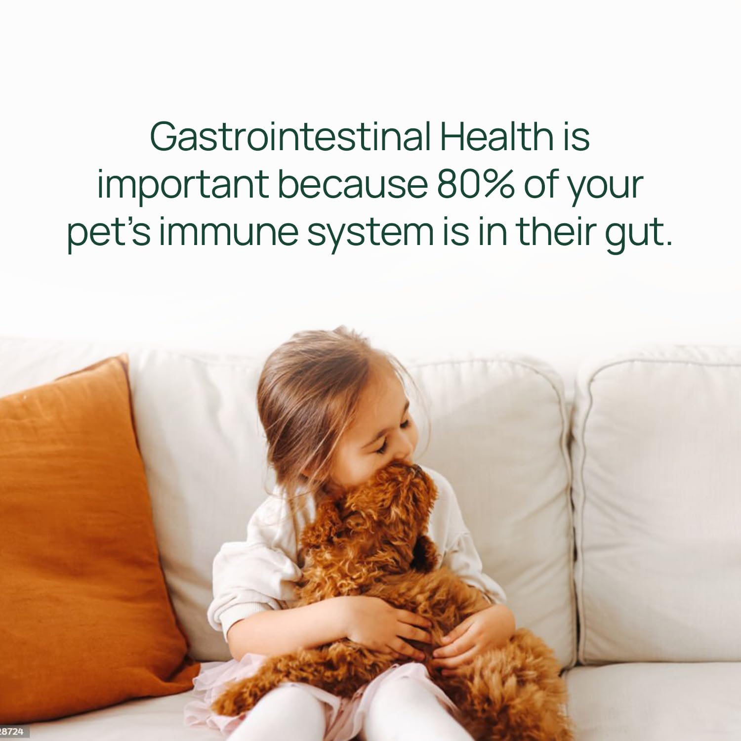 pawTree utilisation quotidienne près d'une gamelle symbolisant routine digestive apaisée