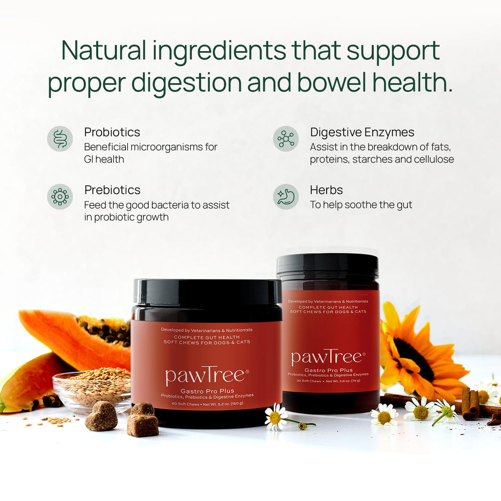 pawTree comprimé en gros plan montrant la texture et la facilité d'émiettement