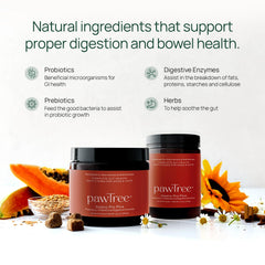 pawTree poudre Gastro Pro Plus montrant la texture pour un mélange facile