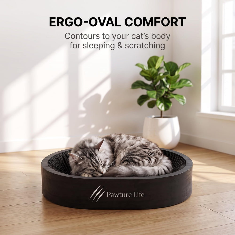 Pawture Life chat utilisant le griffoir-lit confort et ergonomie démontrés