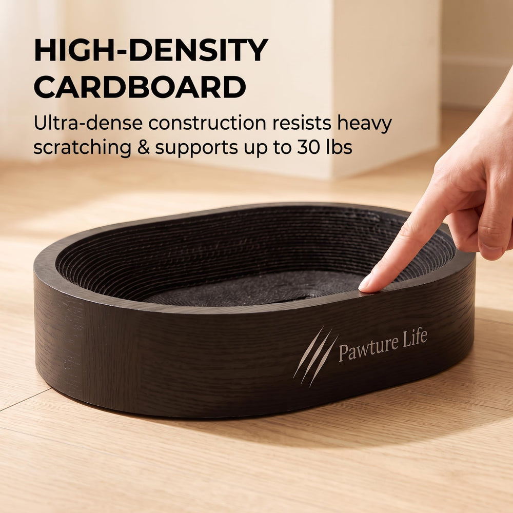 Pawture Life comparaison d'échelle avec objet montre dimensions extra larges