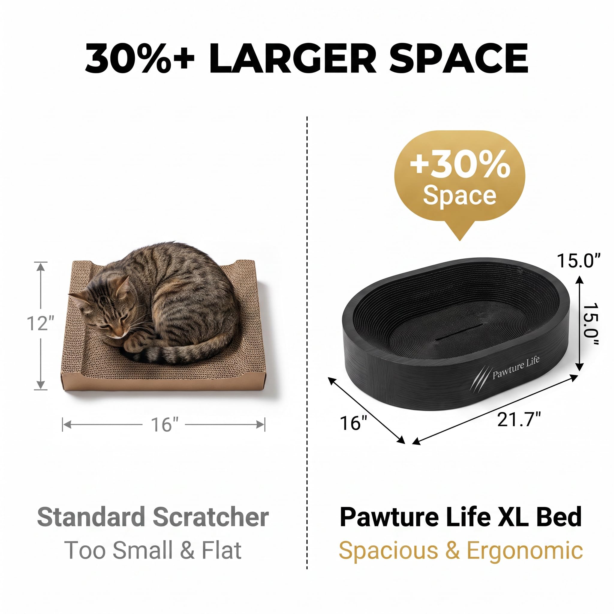 Pawture Life vue du fond collecteur retenant les miettes pour un sol propre