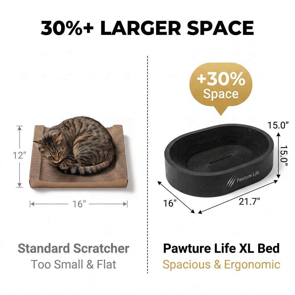 Pawture Life vue du fond collecteur retenant les miettes pour un sol propre