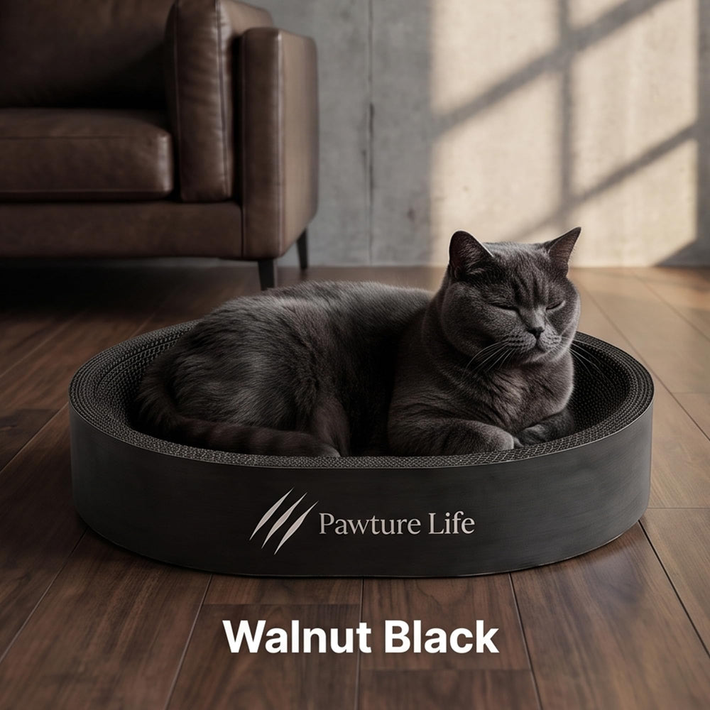 Pawture Life finition grain bois noir montrant l'esthétique moderne