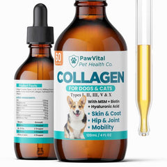 PawVital flacon avant montrant étiquette et format pratique pour dosage quotidien