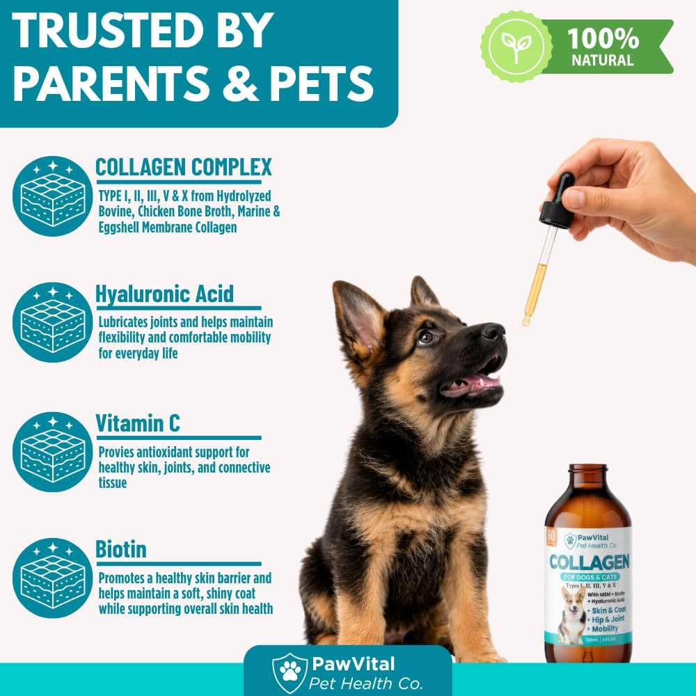 PawVital goutte versée sur croquettes pour administration facile et acceptation