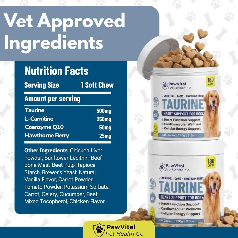 PawVital bol rempli de croquettes molles prêt à servir pour complément quotidien