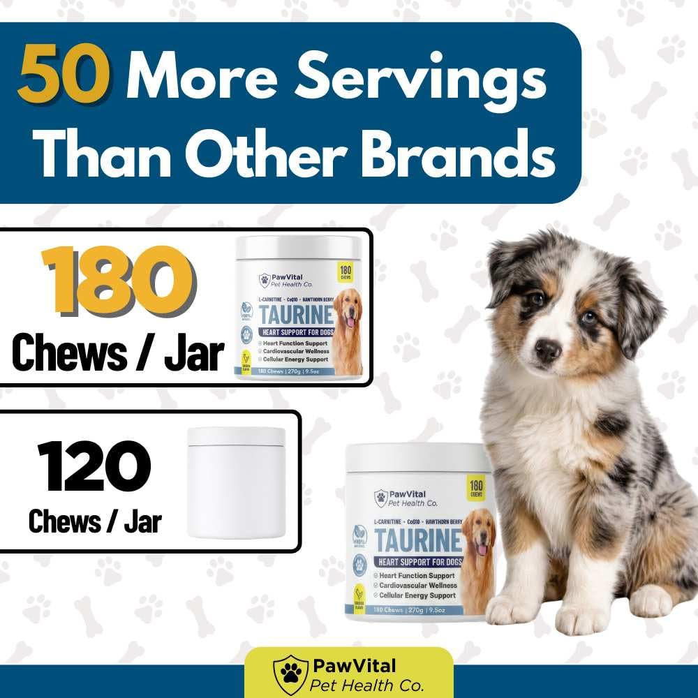 PawVital croquette ouverte montrant la chair et ingrédients savoureux