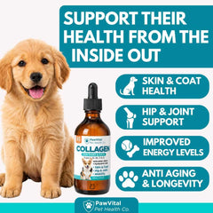 PawVital texture gouttes liquides conçue pour absorption rapide et appétence