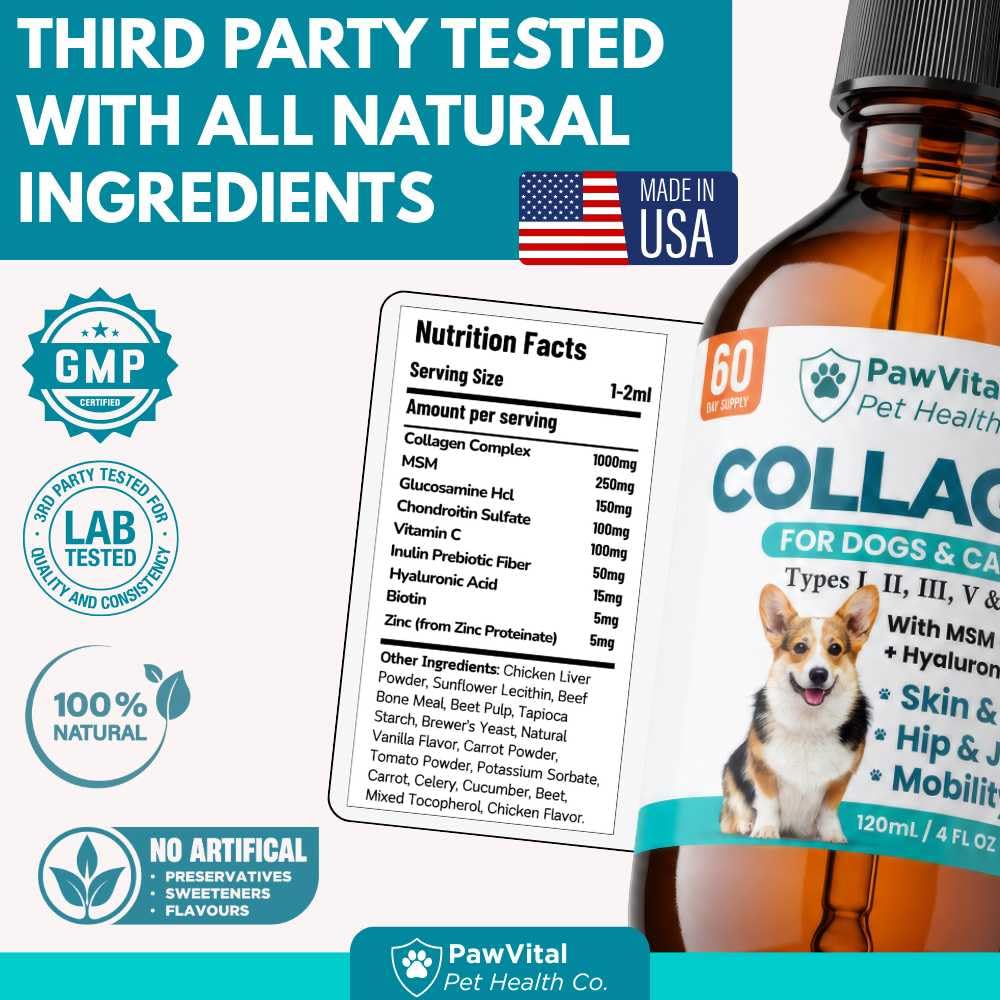 PawVital gros plan étiquette affichant types de collagène et bénéfices clairs