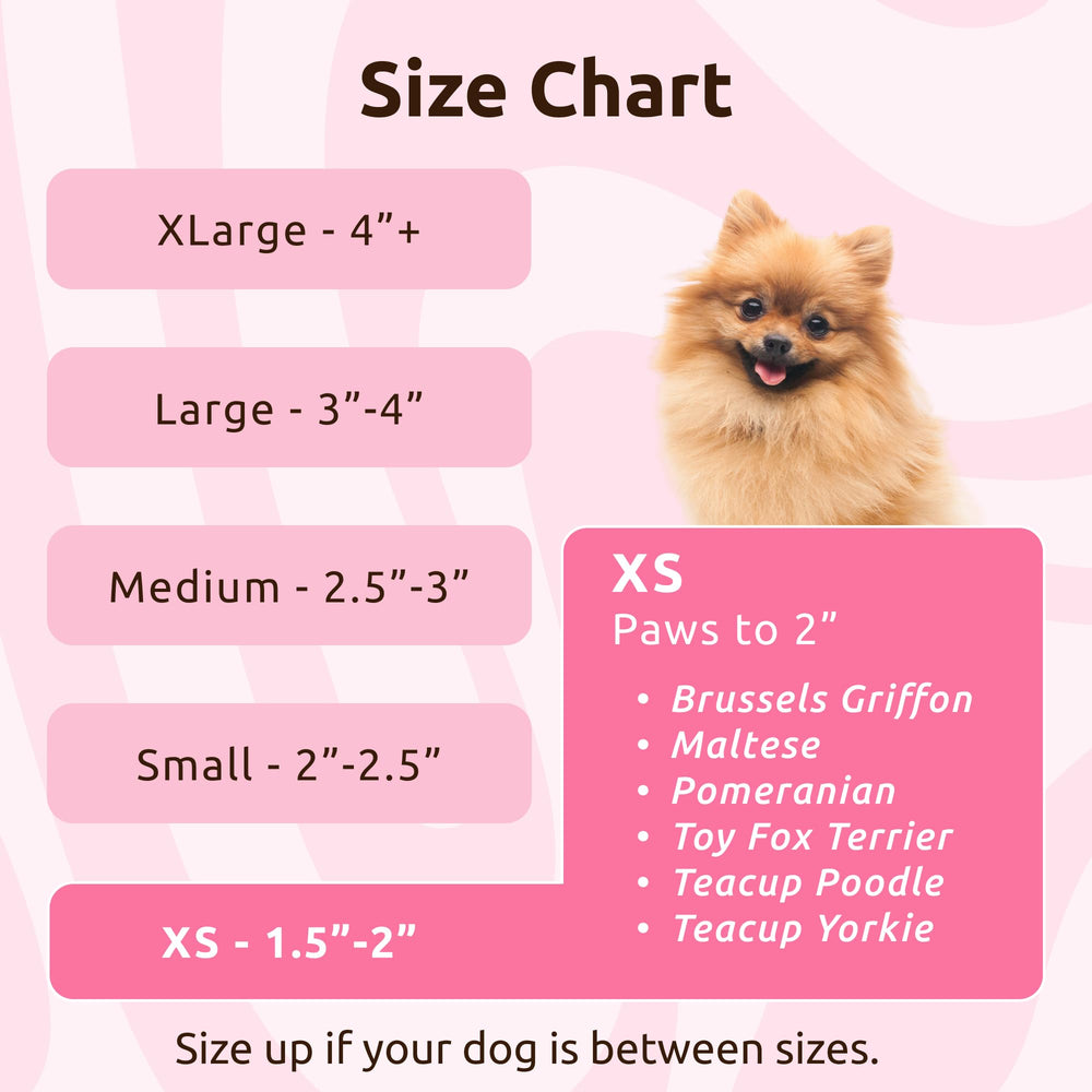 Protex PawZ comparaison avec patte pour choisir la bonne taille