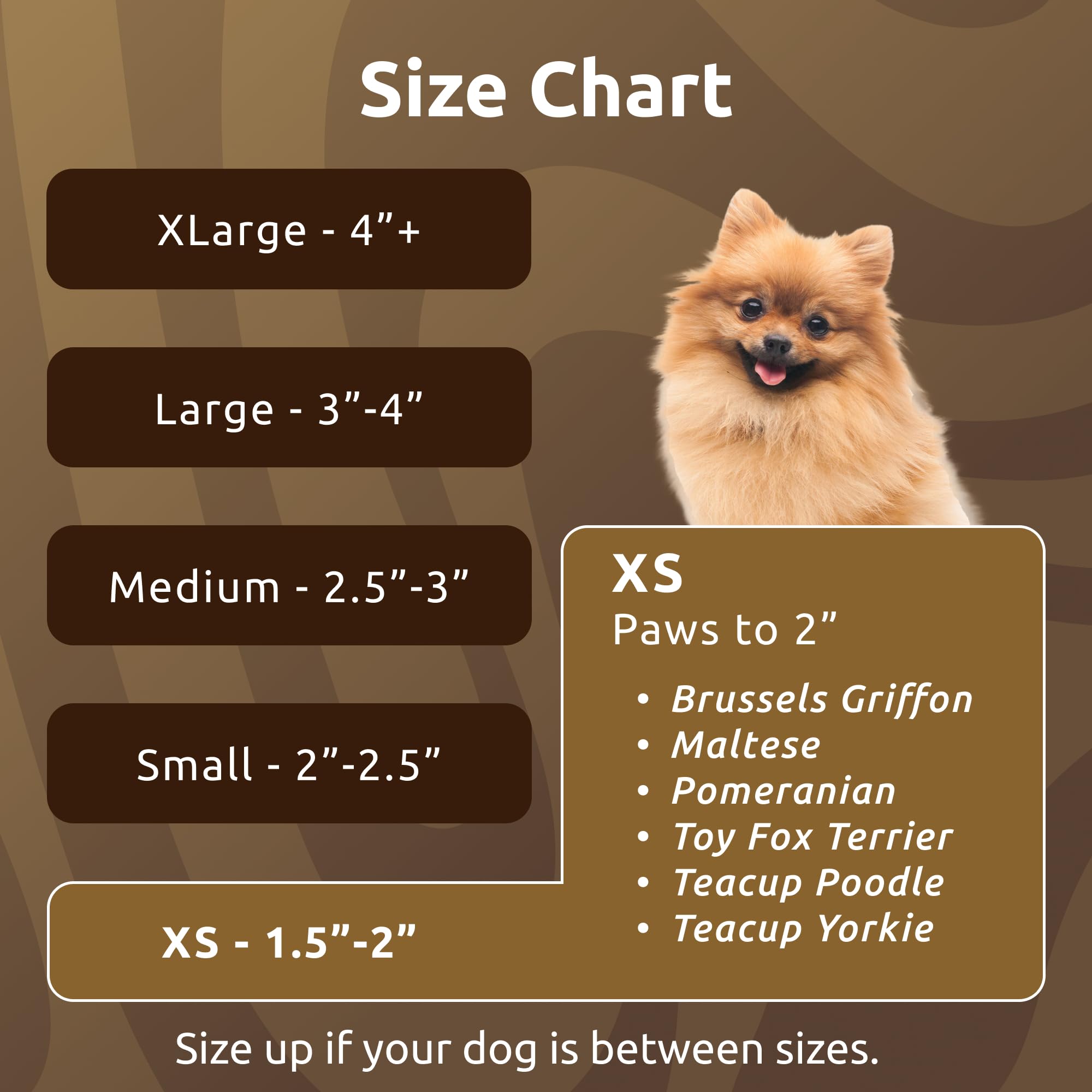PawZ comparaison de taille montrant sélection selon largeur de patte