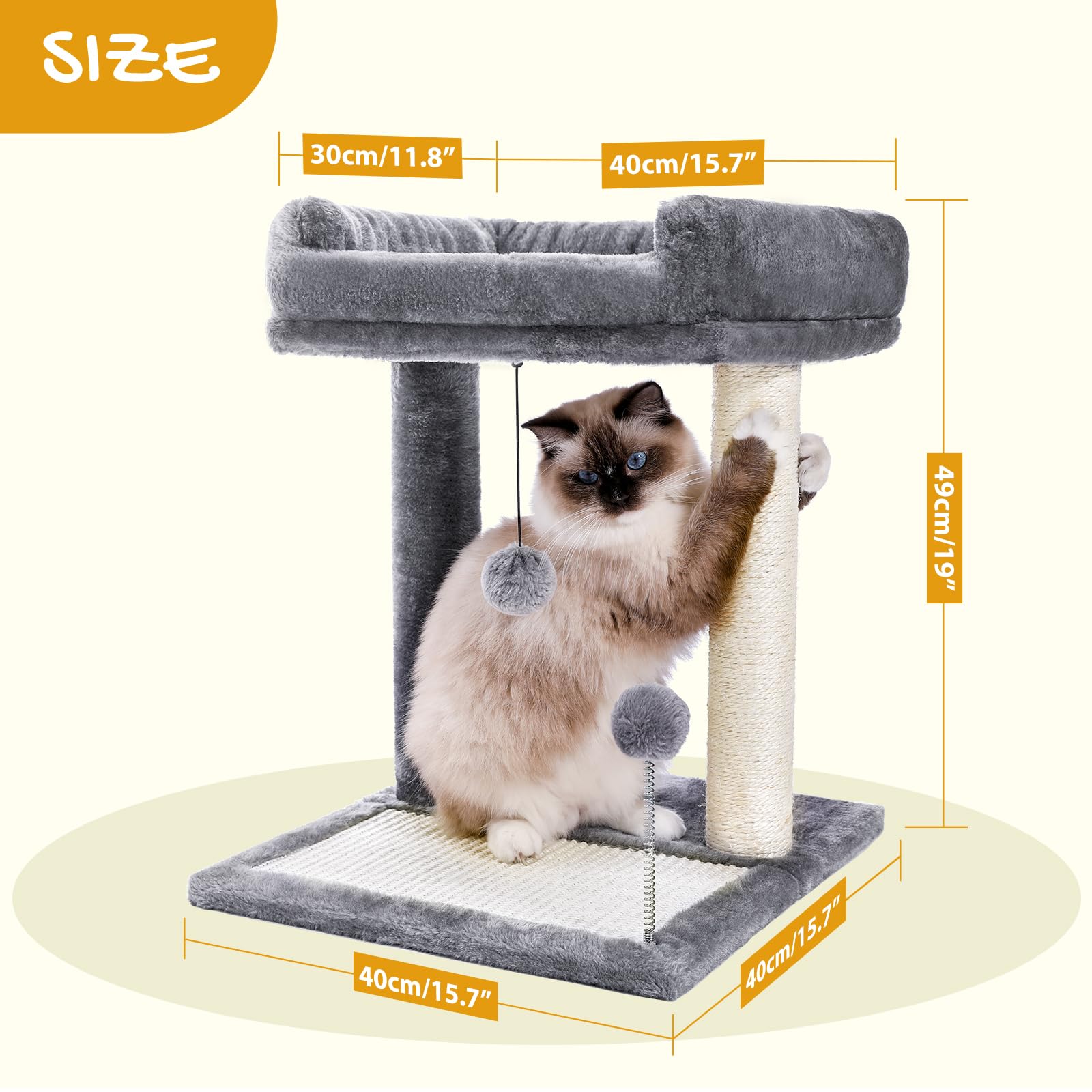 PAWZ Road comparaison de taille montrant l'échelle adaptée aux petits espaces