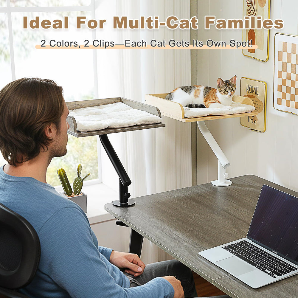 PAWZ Road ambiance bureau montrant l'intégration décorative et pratique