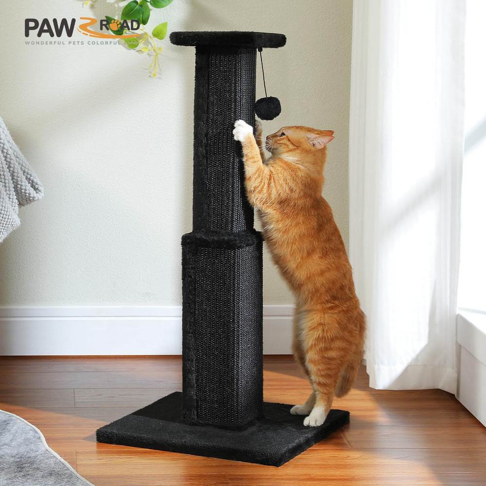 PAWZ Road comparaison dimensions montre hauteur et espace requis