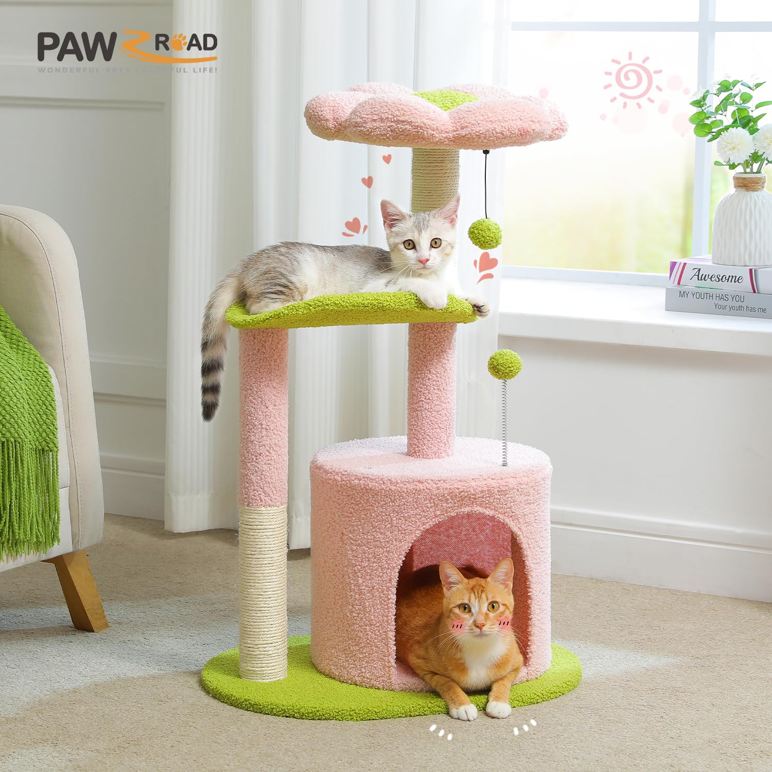 PAWZ Road comparaison avec chat, adéquat pour petits félins