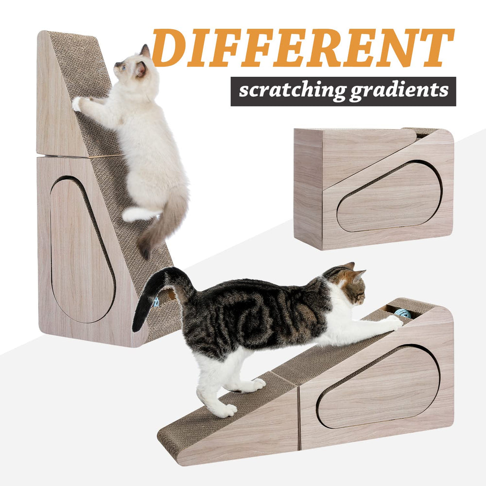 PAWZ Road piste à bille intégrée pour stimuler le jeu et curiosité