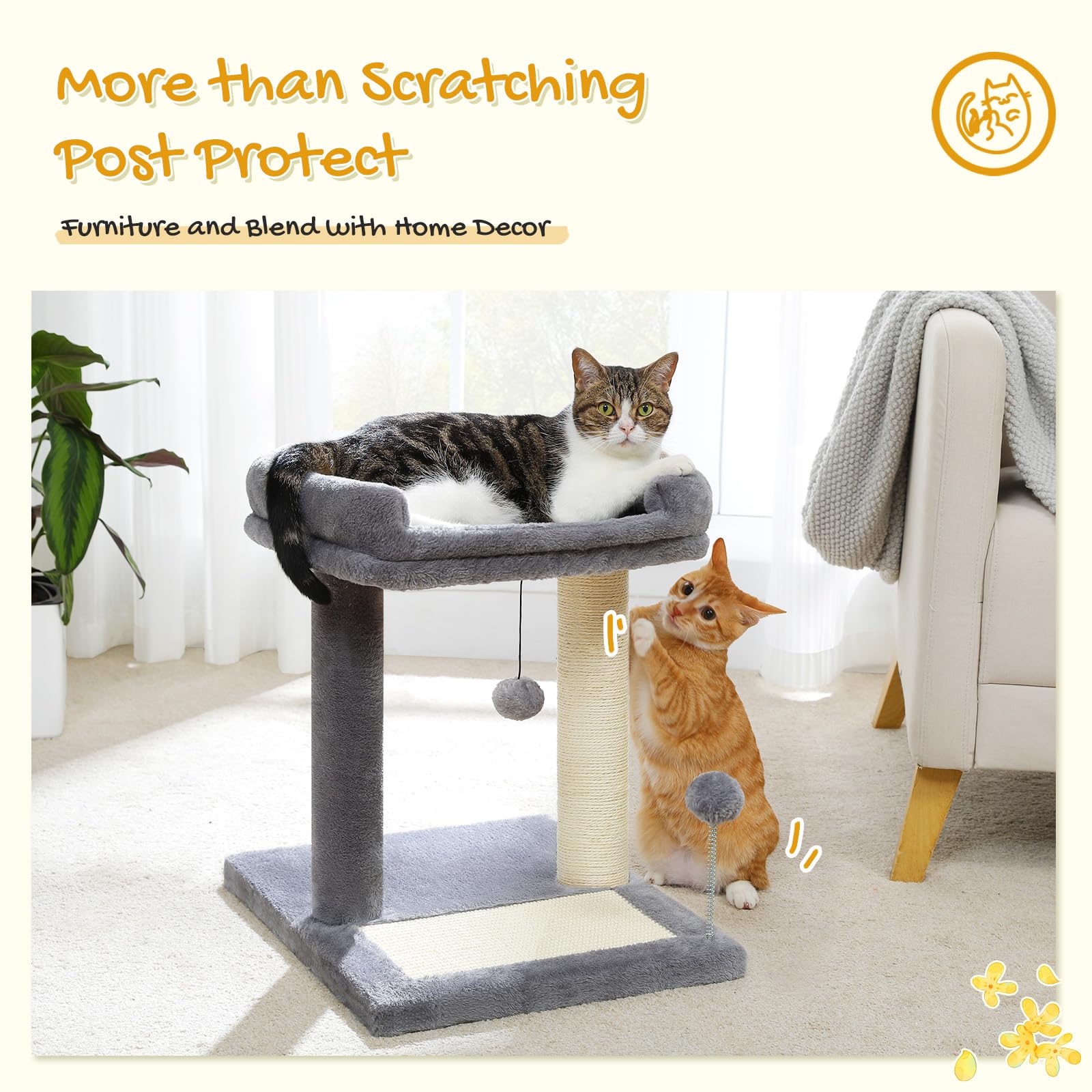 PAWZ Road installé dans un salon illustrant protection des meubles et esthétique