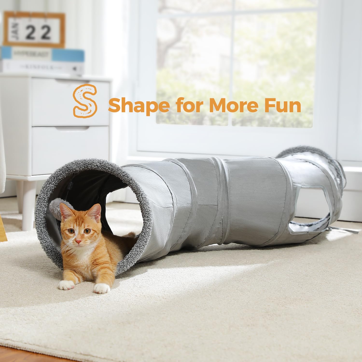 PAWZ Road tunnel installé dans un salon offrant divertissement intérieur