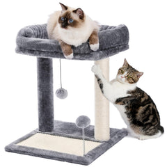 PAWZ Road vue de face montrant la structure compacte et la plate-forme rembourrée