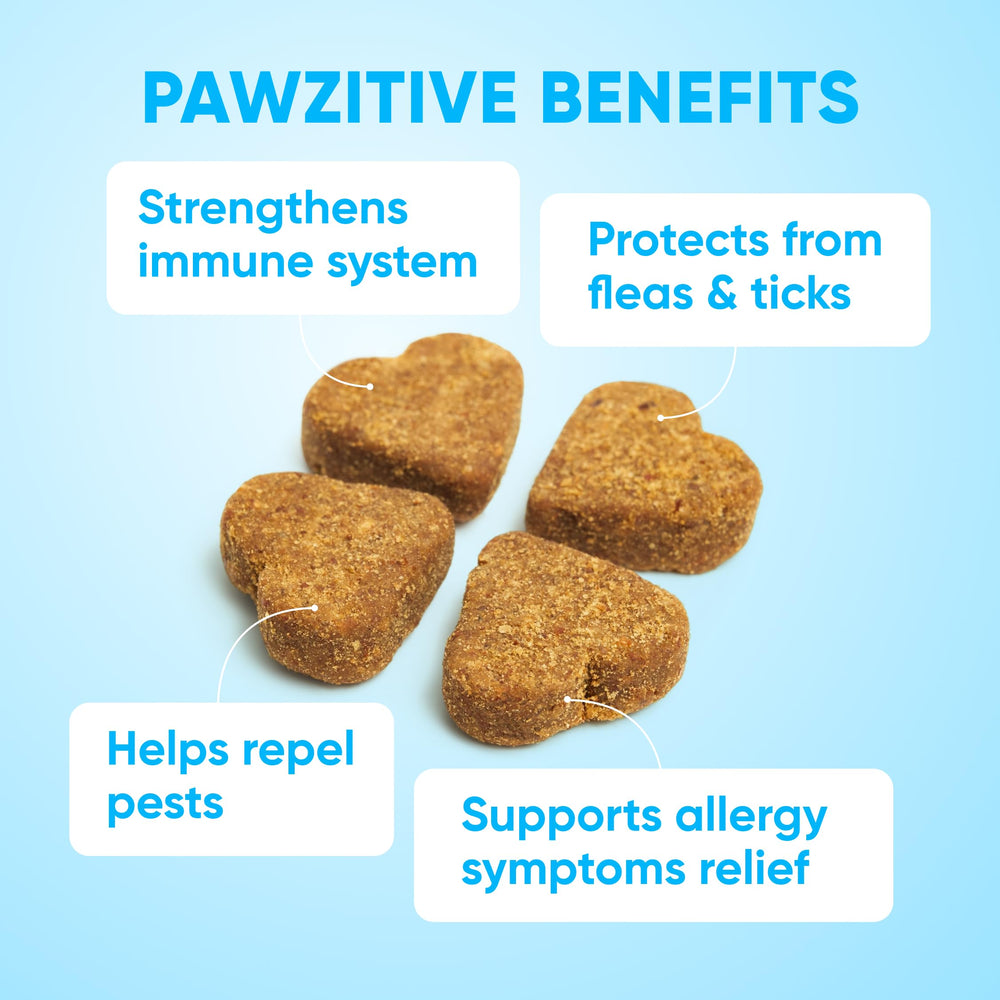 Main tenant une bouchée Pawzitive Pets illustrant la taille conviviale pour donner facilement