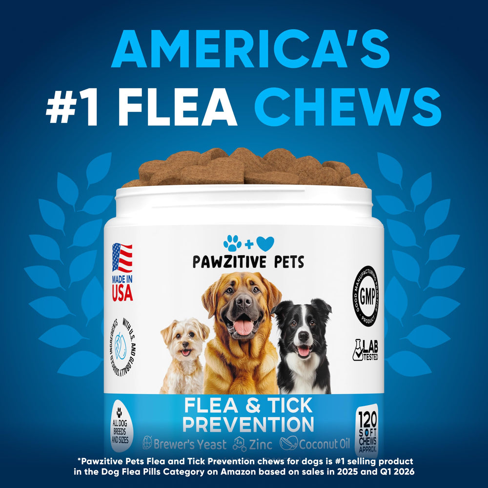 Gros plan sur une bouchée Pawzitive Pets montrant texture appétente et facilité de mastication