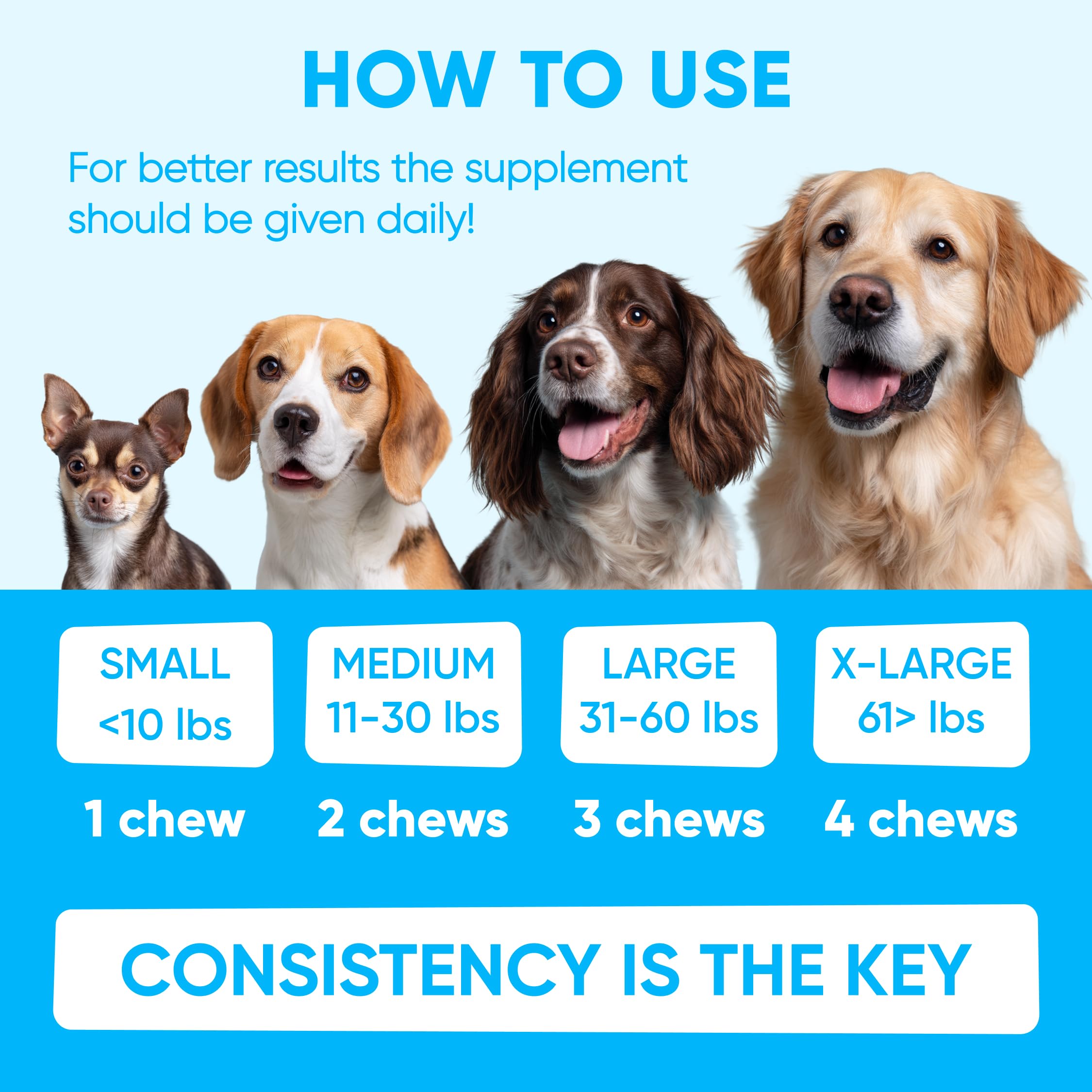 Scène de jardin avec chien et emballage Pawzitive Pets illustrant usage en extérieur