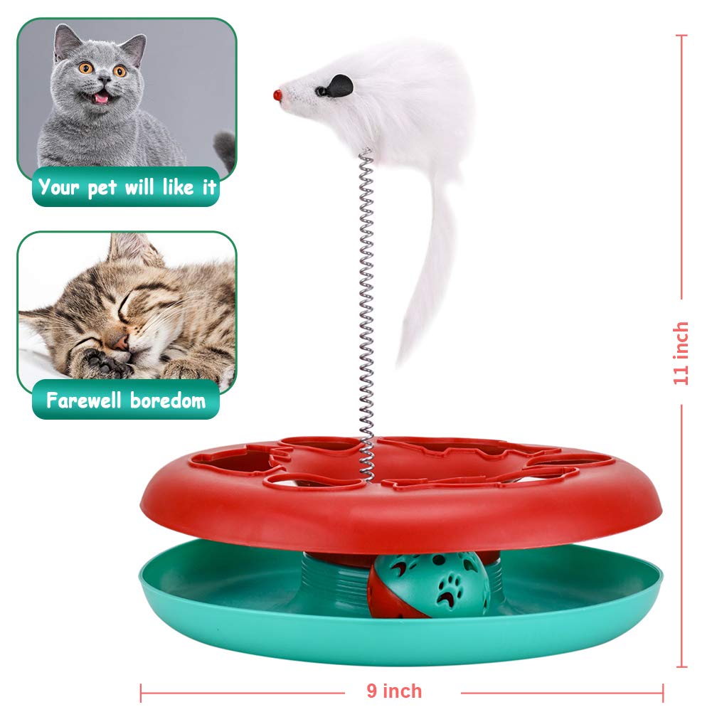 Pawzone chat en train de jouer pour exercice et amusement